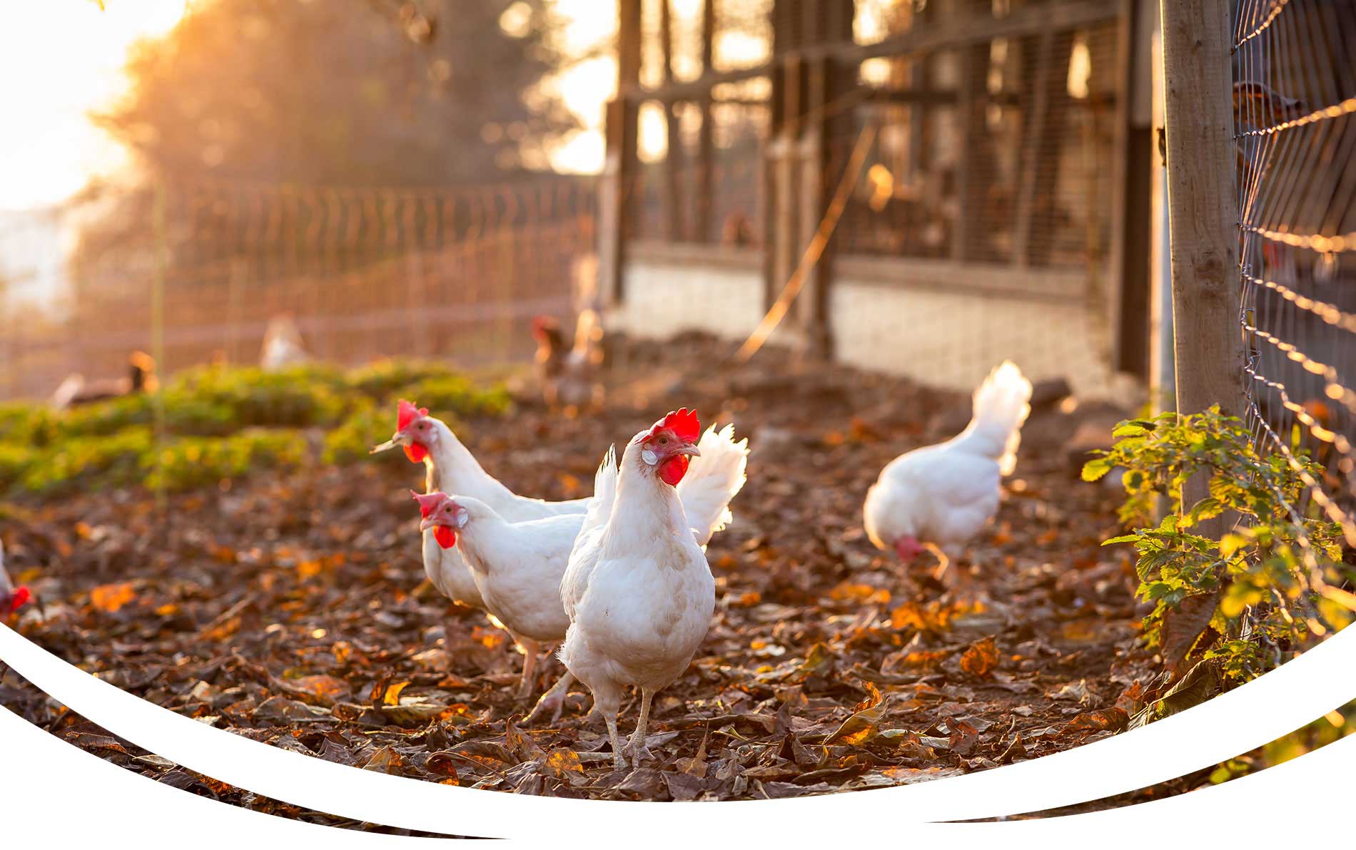 La Ferme de la Metairie